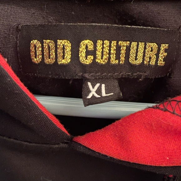 Men’s Worldwide Champions Hoodie By Odd Culture X-large - Picture 8 of 8